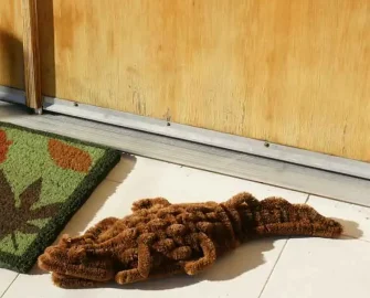 Boot scraper doormat in shape of alligator at front door