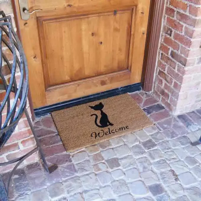 Cat Welcome Mat with cute cat picture
