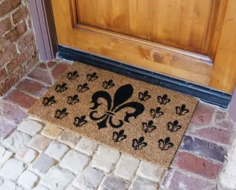 French Coat of arms in front of a door entrnace