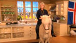 Martha Stewart on a Horse