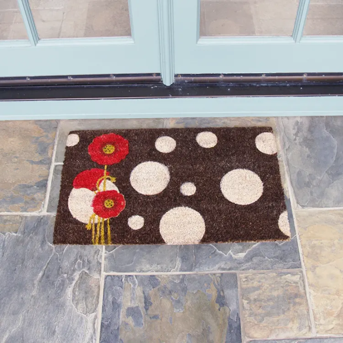 rogue contemporary mat in front of door entrance