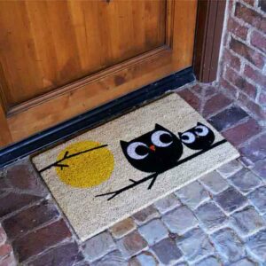 Affection owl pair sitting on branch doormat