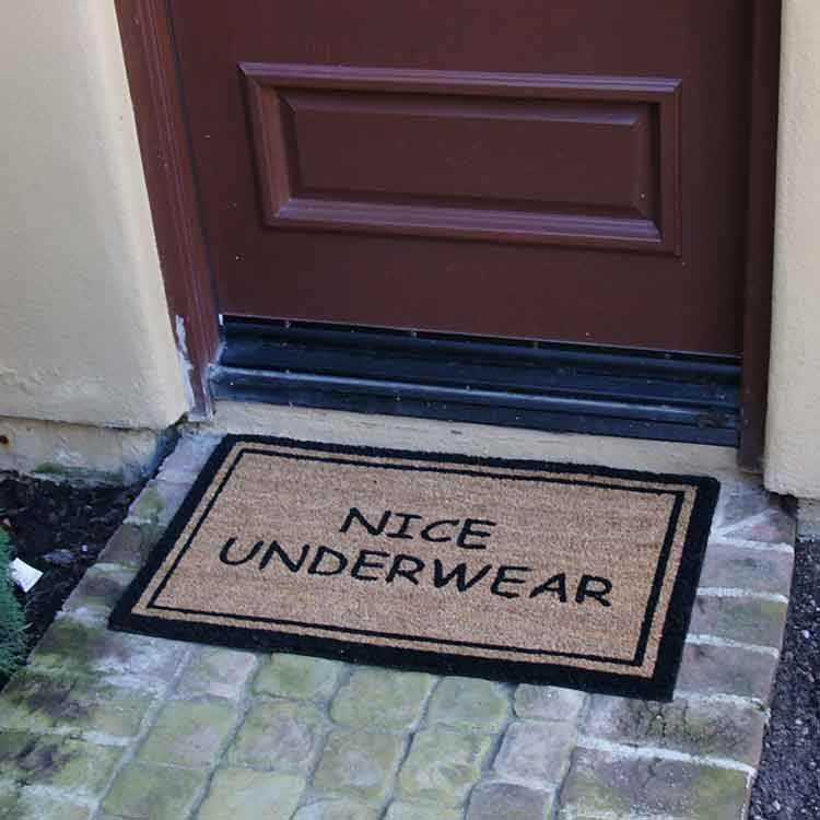 https://floormatcompany.com/wp-content/uploads/2023/01/Nice_Underwear_Action_02_Large.jpg